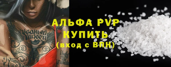 прущие грибы Пестово