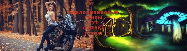 бутик Пересвет