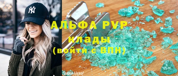 прущие грибы Пестово