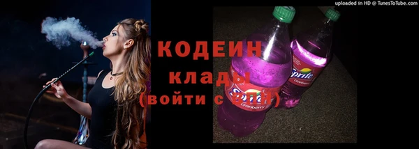 прущие грибы Пестово