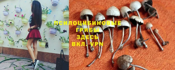 а пвп мука Переславль-Залесский