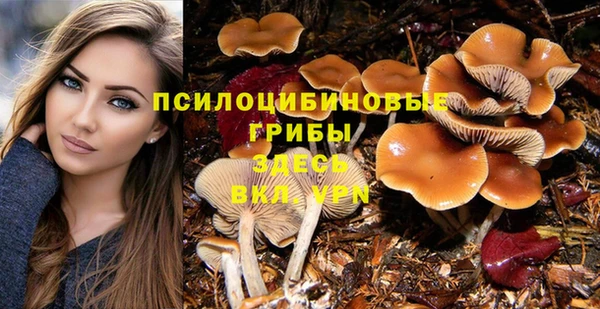 прущие грибы Пестово