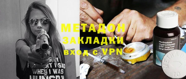 прущие грибы Пестово