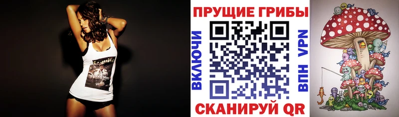 Псилоцибиновые грибы мицелий  даркнет сайт  Кологрив 